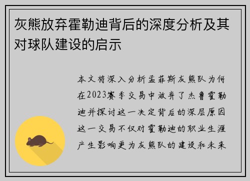 灰熊放弃霍勒迪背后的深度分析及其对球队建设的启示