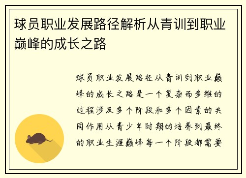 球员职业发展路径解析从青训到职业巅峰的成长之路